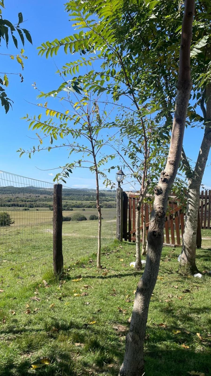 La Chacra Guest House Minas Luaran gambar