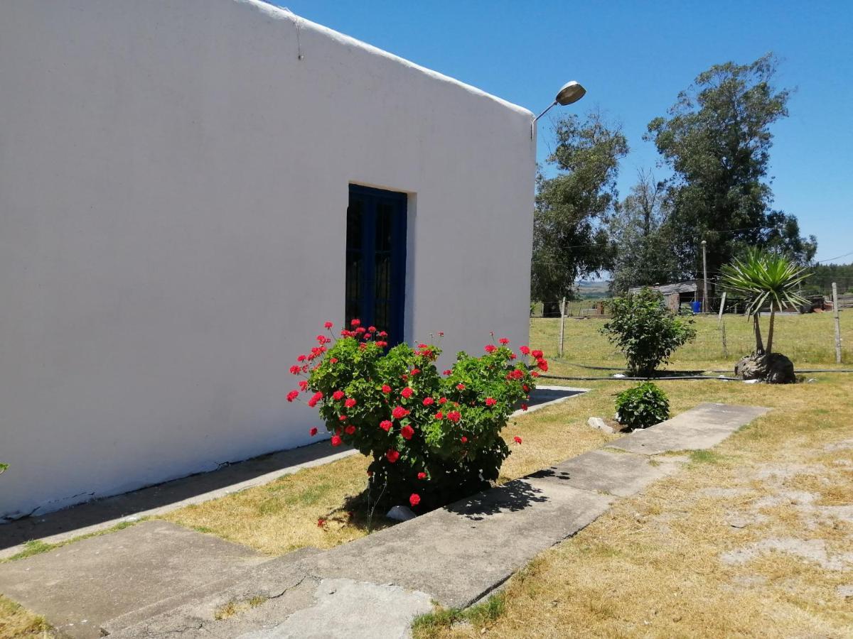 La Chacra Guest House Minas Luaran gambar